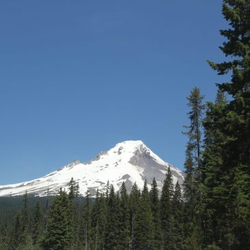 Chasing Mt Hood