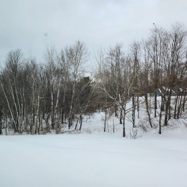 Our first week