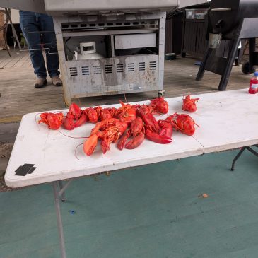 Lobster boil! (Surf ‘n Turf)